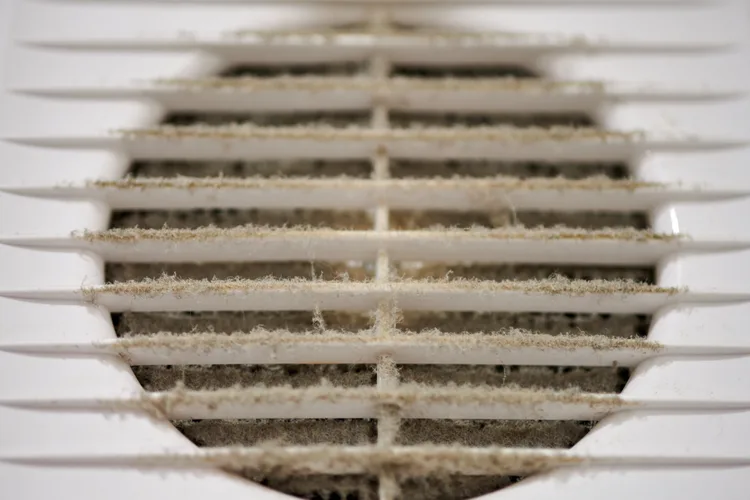 Vous désirez faire des travaux de nettoyage et entretien de vos conduits de ventilation, climatisation et chauffage et vous êtes dans le secteur commercial, industriel et résidentiel ? Il est toujours important d'effectuer une inspection complète par caméra infrarouge de vos conduits de ventilation, climatisation et chauffage et Airmatic Ventilation Inc. à McMasterville, Brossard et Montréal offrent ce service.